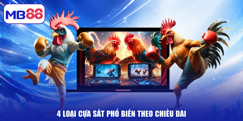 4 loại cựa sắt phổ biến theo chiều dài
