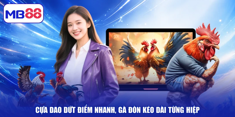 Cựa dao dứt điểm nhanh, gà đòn kéo dài từng hiệp
