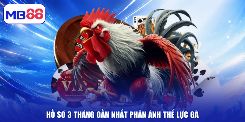 Hồ sơ 3 tháng gần nhất để phản ánh thể lực gà