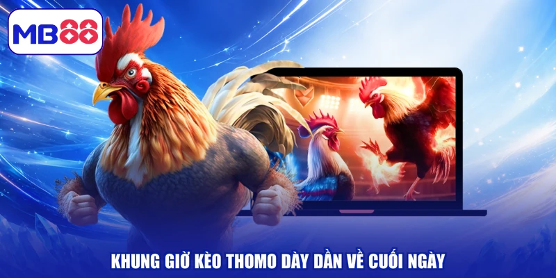 Khung giờ kèo Thomo dày dần về cuối ngày