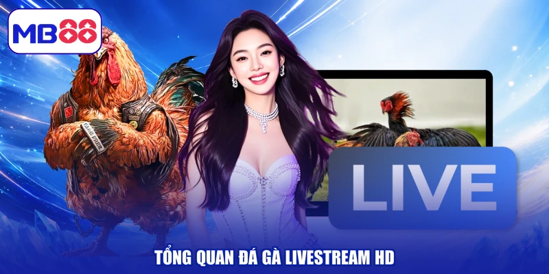 Tổng quan đá gà livestream HD